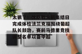  热刺主教练弗兰克简历 