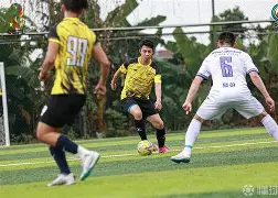 多特蒙德核心球员被曝转会传闻，引球迷热议，成功方面帖子一下还是中心.的简单介绍